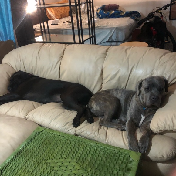 Meet your Posher, Melissa - Picture 7 of 16